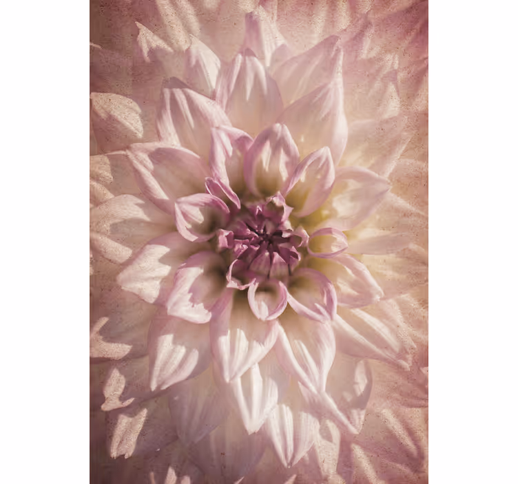 Delicate bloei rolgordijn bloemen en planten - TenStickers