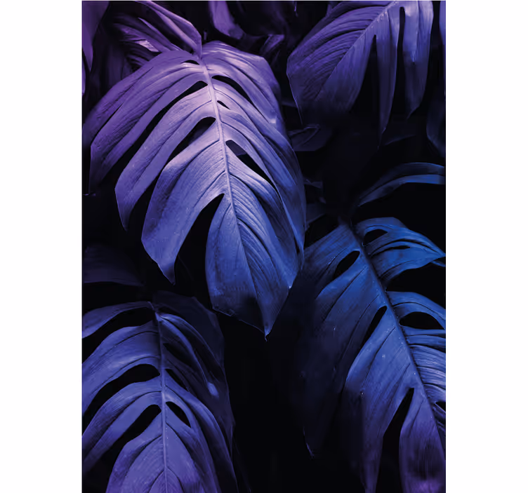 Monstera deliciosa blad rolgordijn bloemen en planten - TenStickers