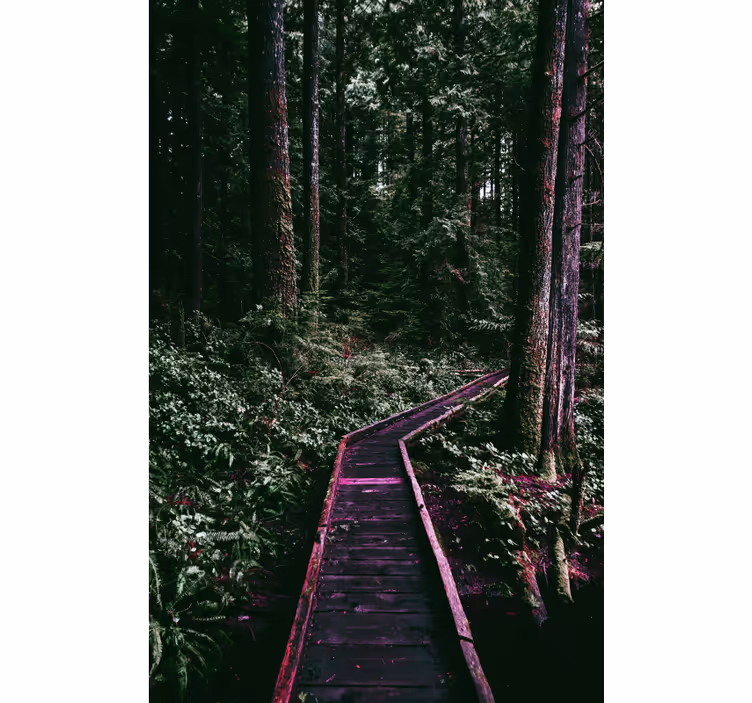 Rolgordijn bomen forest pathway - TenStickers