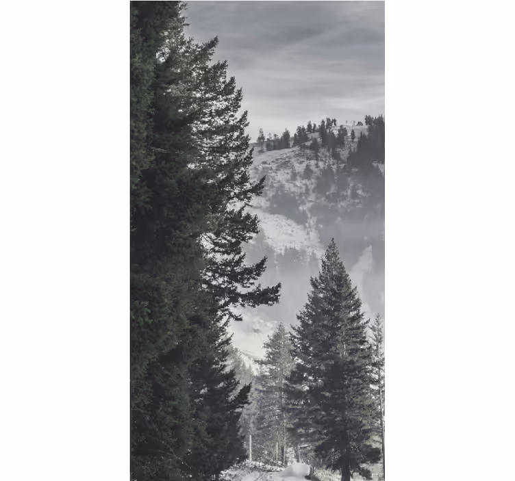 Majestueuze bergdennen rolgordijn bomen - TenStickers