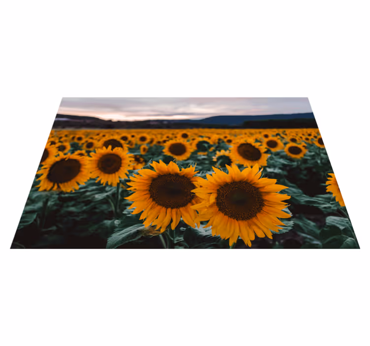 Originele placemat zonnebloemveld uitzicht - TenStickers