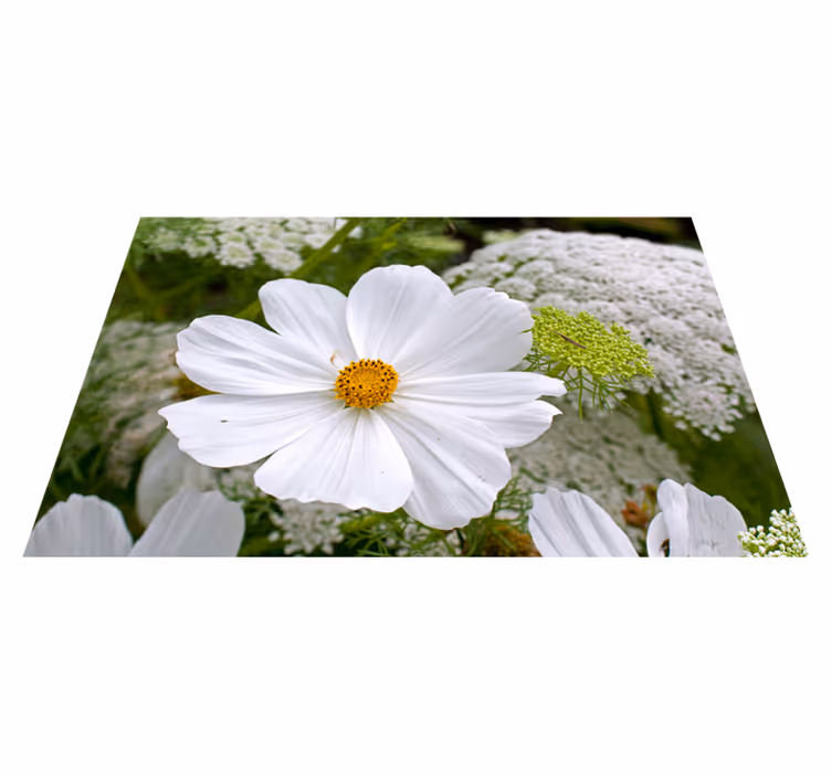 Originele placemat elegante witte bloesem - TenStickers