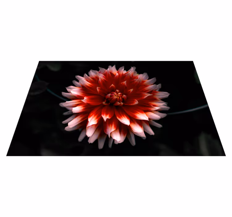 Originele placemat crispy zeewier gerecht - TenStickers