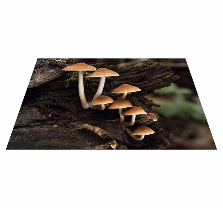Originele placemat paddenstoelencluster portret - TenStickers