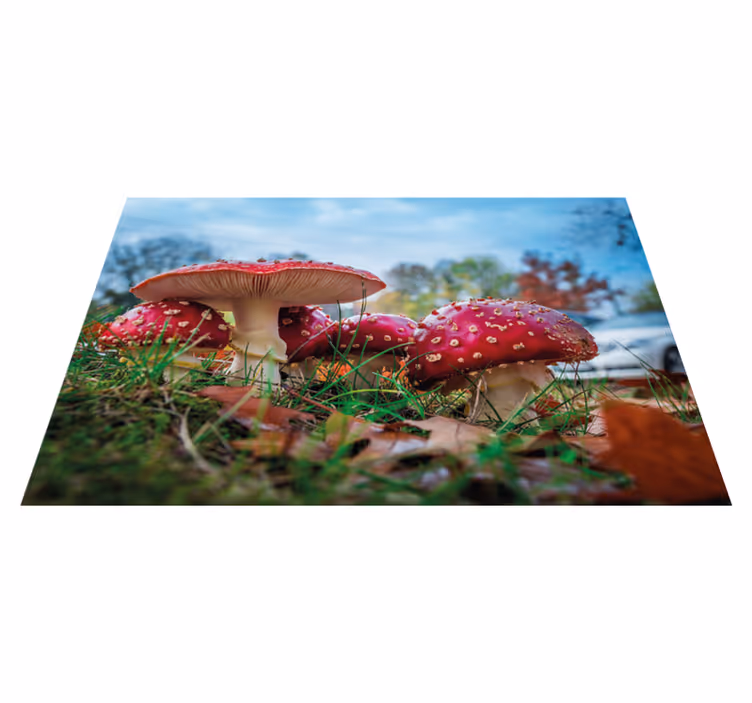 Moderne placema paddenstoelen culinaire scene - TenStickers