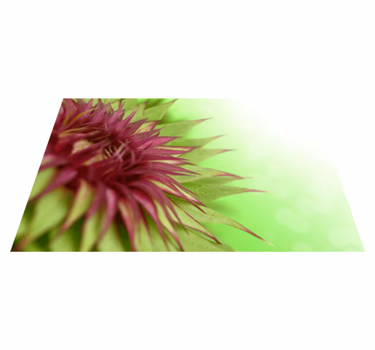 Distel planten design placemat - TenStickers