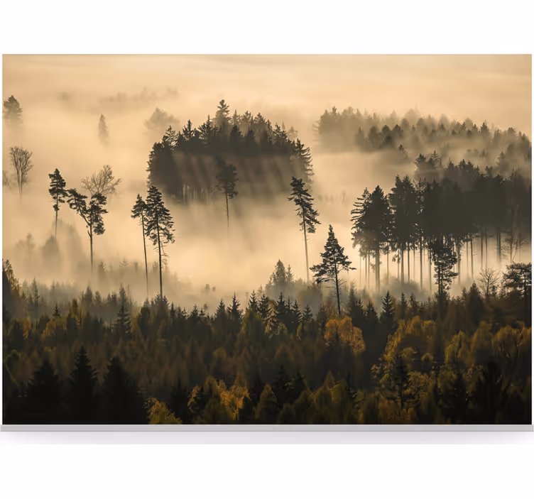 Behang bos etherische ochtendmist - TenStickers