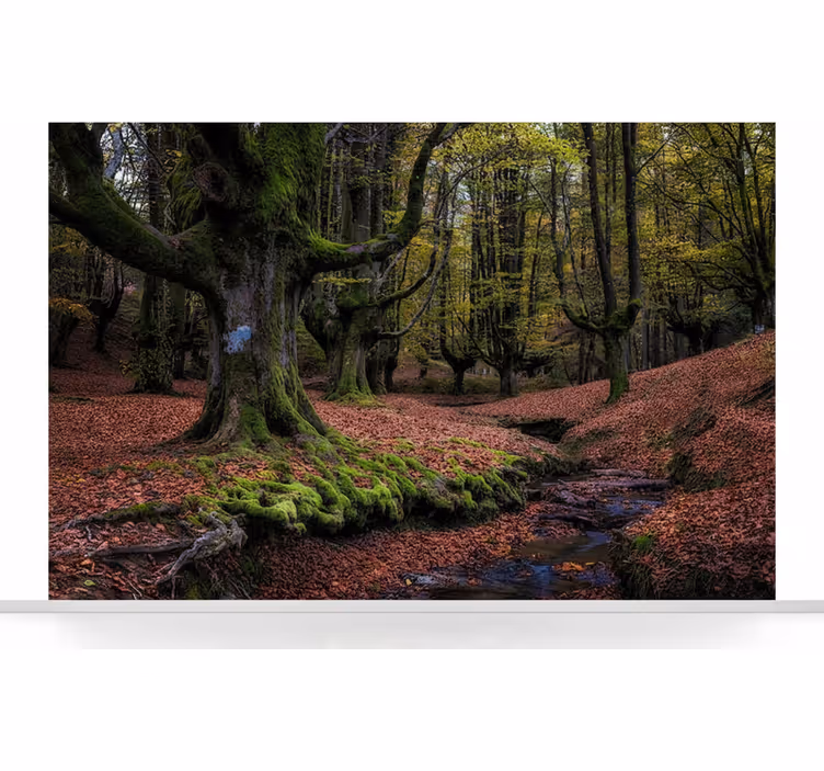 Behang bos betoverd herfstbos - TenStickers