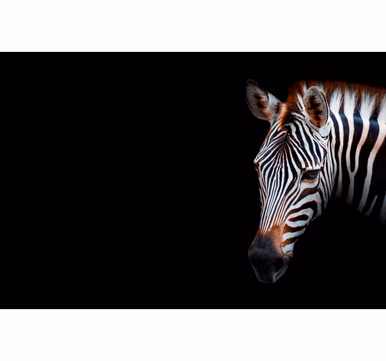 Fotobehang afrikaanse stijl zebra afbeelding - TenStickers