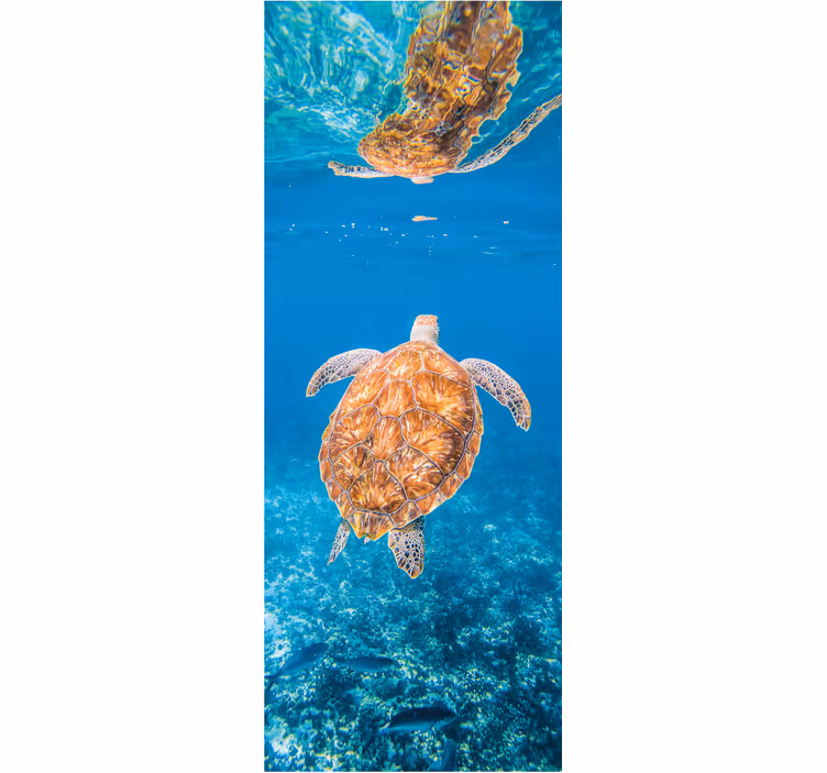 Badkamer fotobehang mooie schildpad onderwater - TenStickers