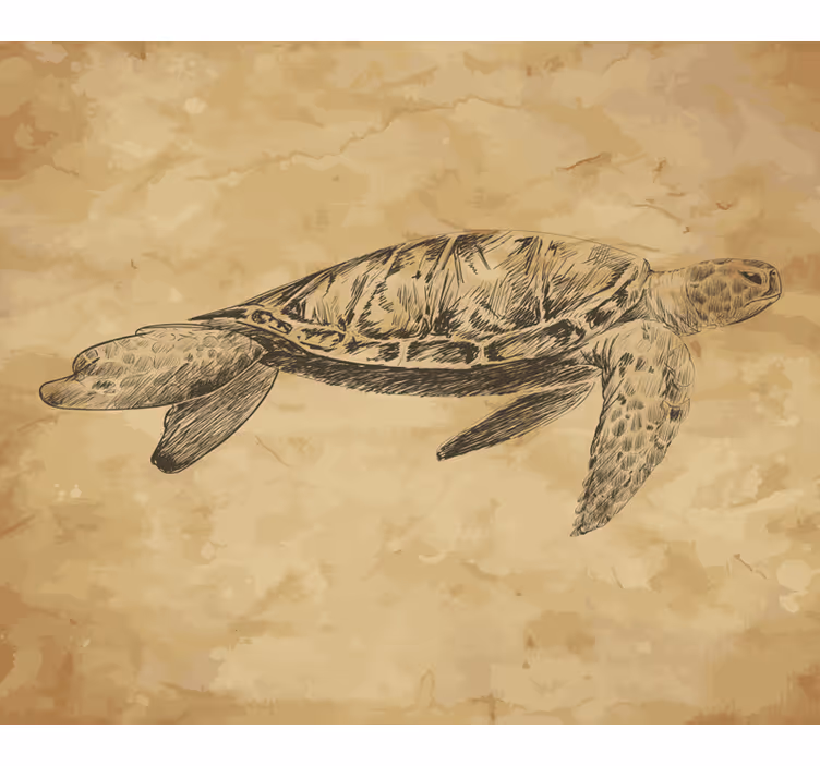 Fotobehang beige schildpad illustratie - TenStickers
