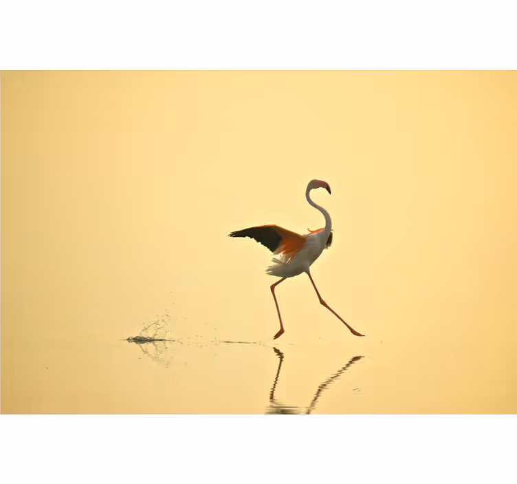 Fotobehang geel met grappige rennende flamingo's - TenStickers