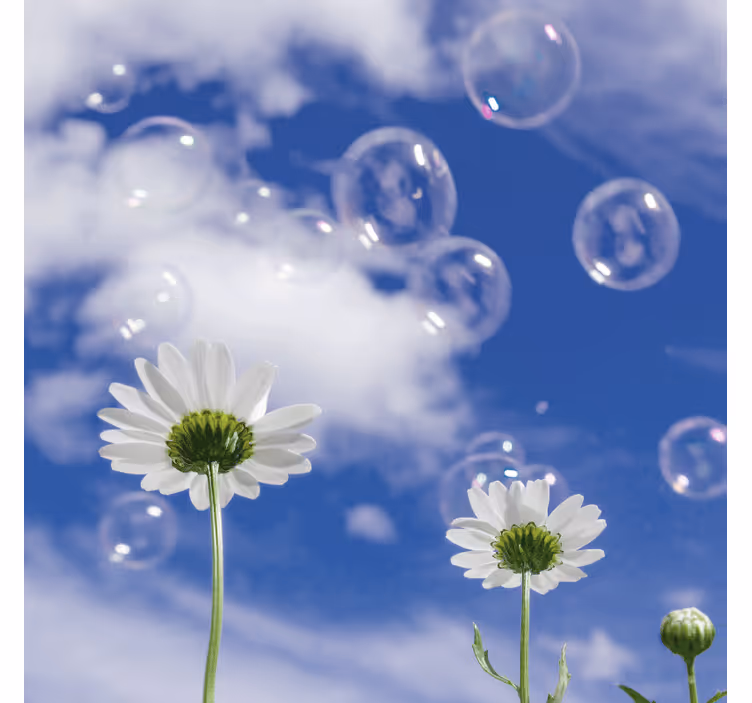 Blauw fotobehang met madeliefjes en bellen - TenStickers