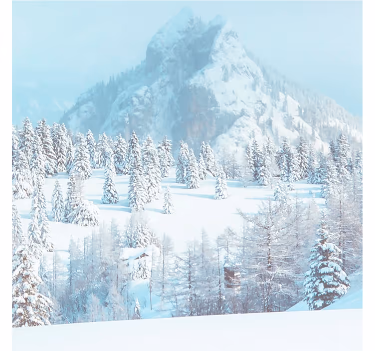 Blauw fotobehang winterse esthetische fotografie - TenStickers