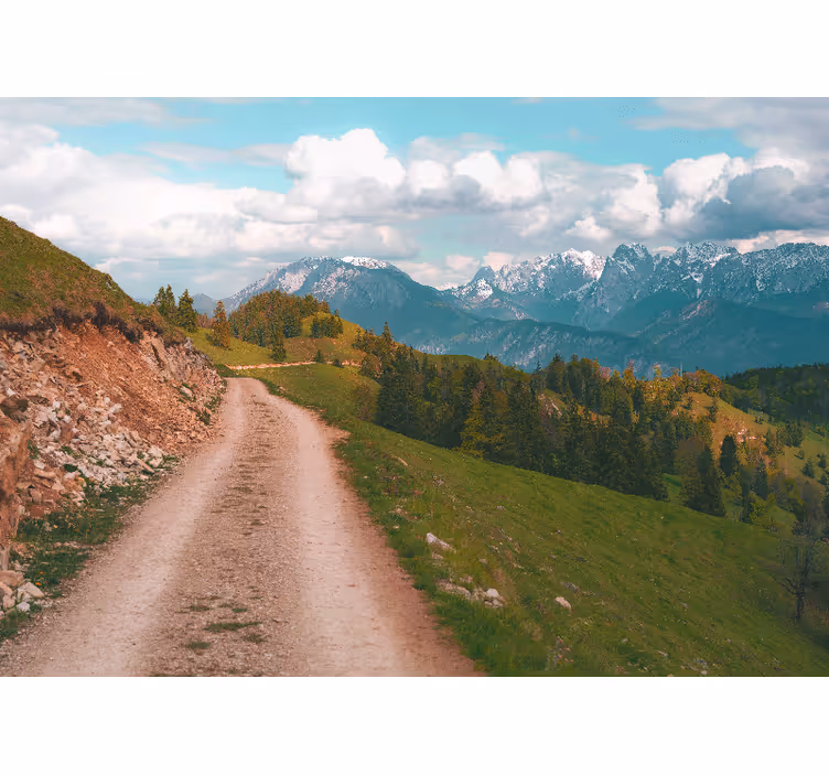Fotobehang groen wandelen in een bos - TenStickers