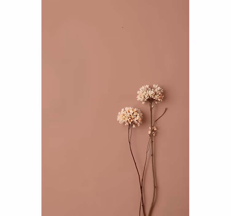 Foto behang hal dried flowers - TenStickers