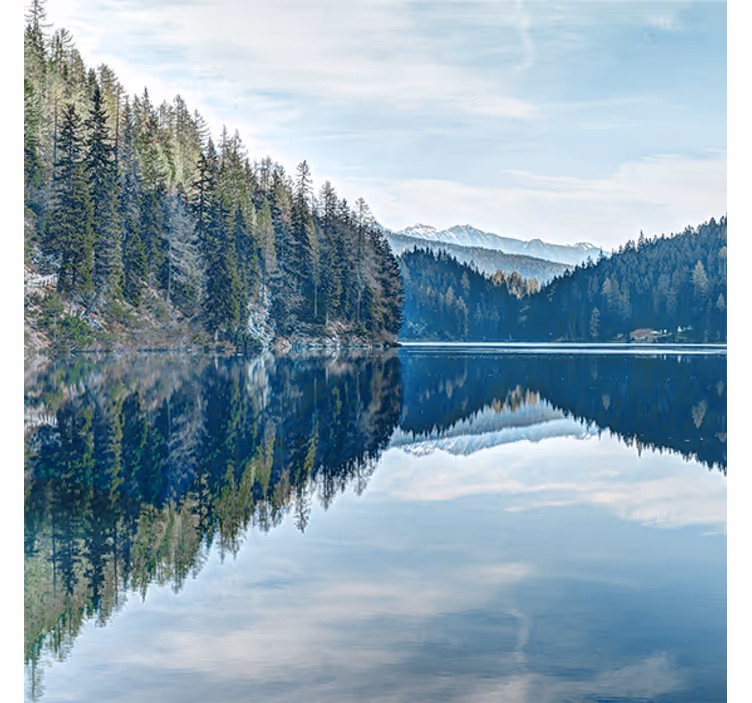 Foto behang hal natuur bosrivier - TenStickers