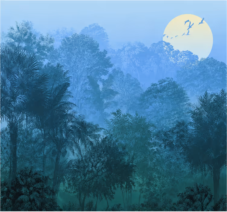 Foto behang jungle natuur - TenStickers