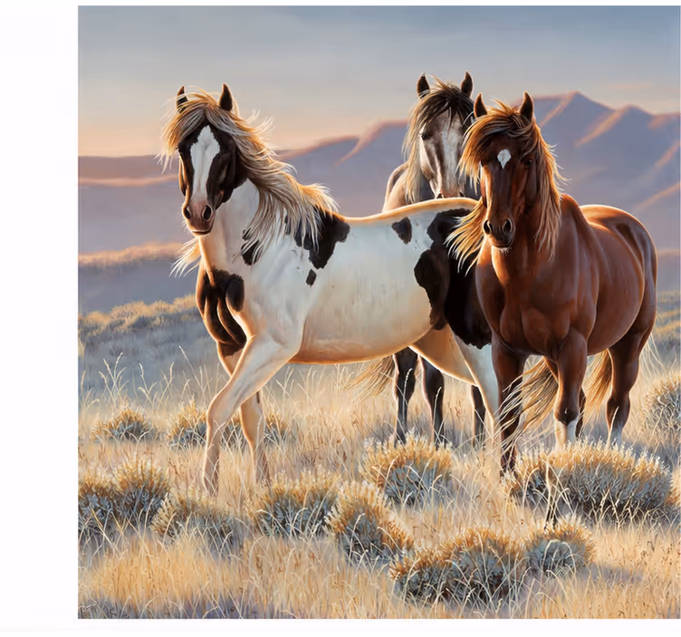 Foto behang diverse dieren paard - TenStickers