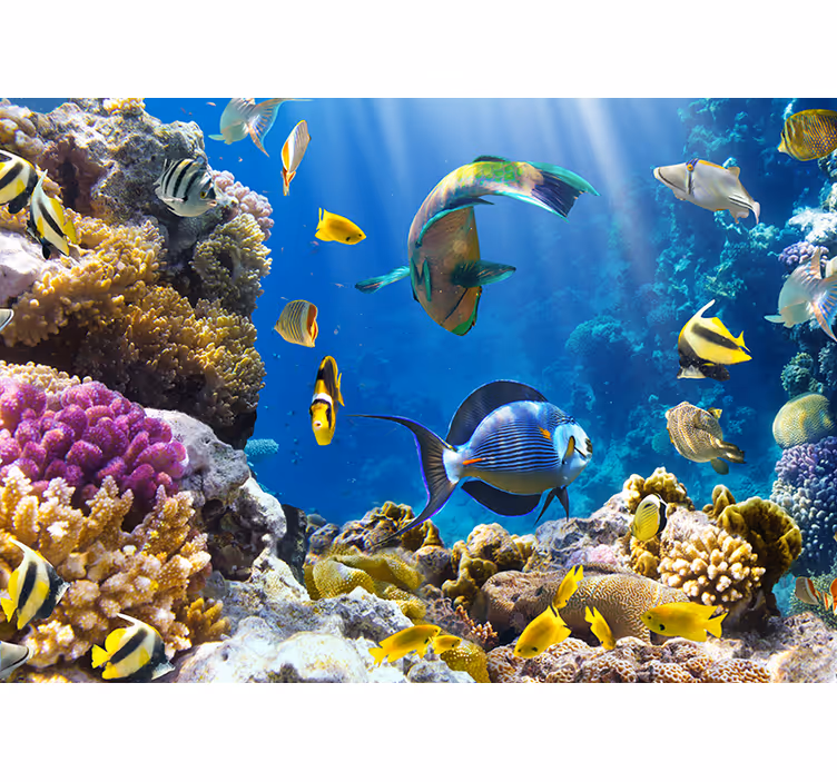 Fotobehang zee de onderwaterwereld van curaçao - TenStickers