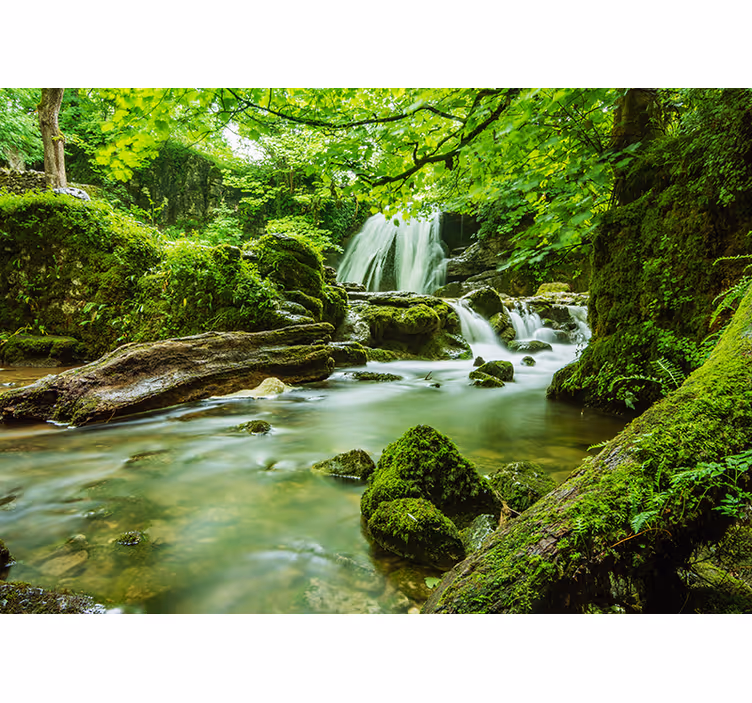 Fotobehang waterval in wilde natuur - TenStickers