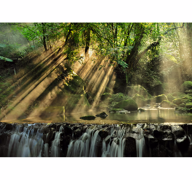 Natuur fotobehang met zonnestralen - TenStickers