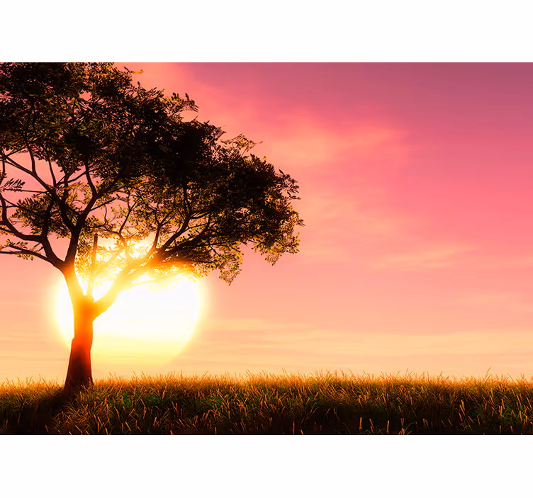Savanne zonsondergang silhouet fotobehang landschap - TenStickers