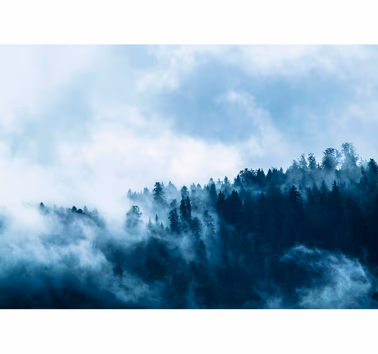 Fotobehang bos met wolken - TenStickers