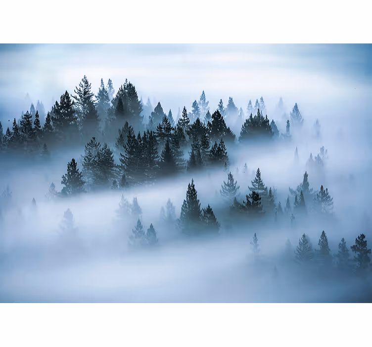Fotobehang natuur Jungle ochtend mist - TenStickers