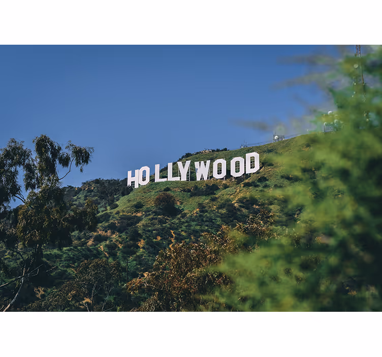 Fotobehang steden en landen hollywood sign landschap - TenStickers