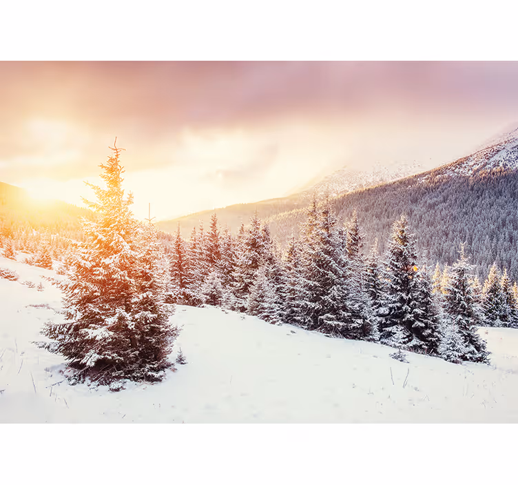 Besneeuwde berg fotobehang - TenStickers