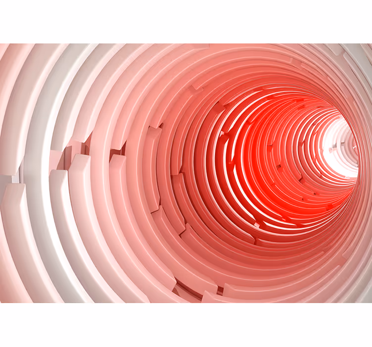 3d behang spiral tunnel design - TenStickers
