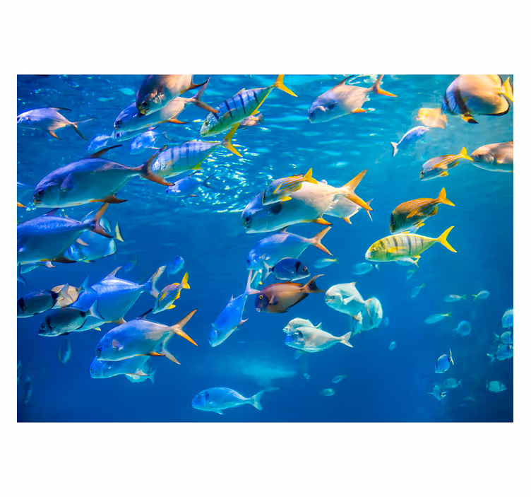 Fotobehang dieren School van zee - TenStickers
