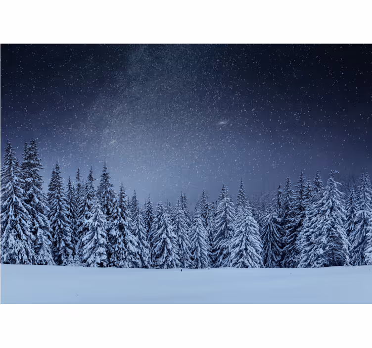 Besneeuwd dennenlandschap foto behang natuur - TenStickers