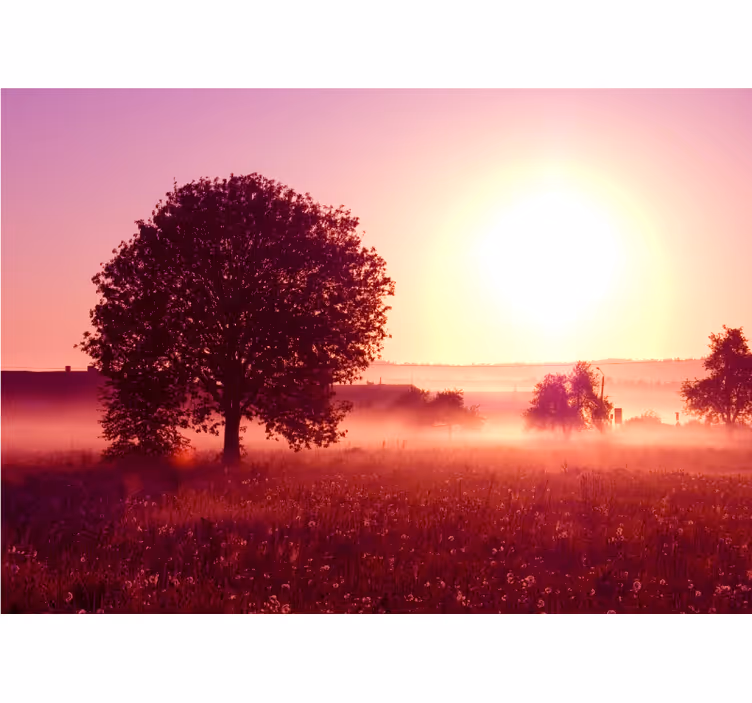 Foto behang natuur silhouetten van bomen zonsondergang - TenStickers