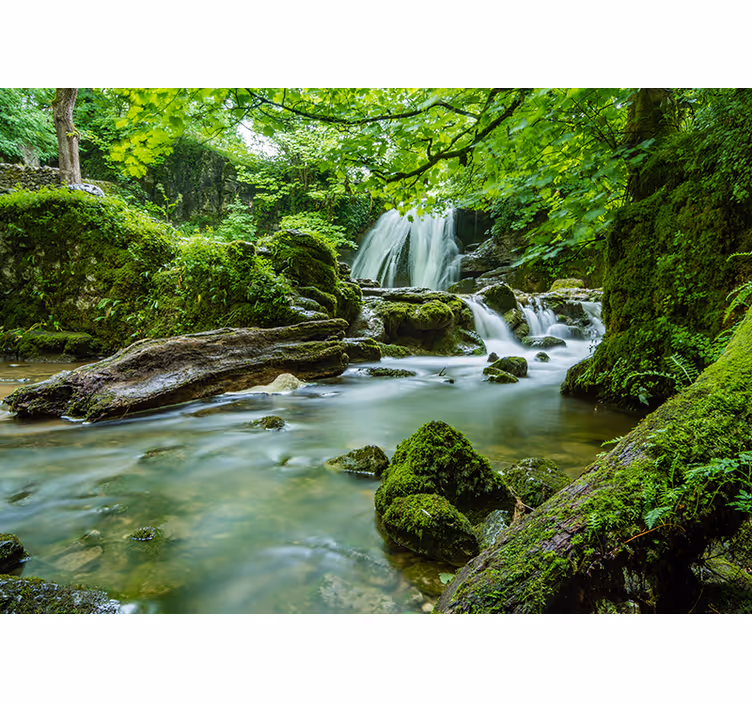 Foto behang natuur rustgevende bosbeek - TenStickers