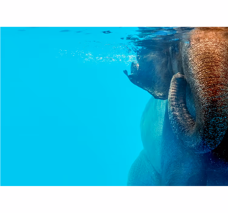 Majestueuze onderwater olifant fotobehang dieren - TenStickers