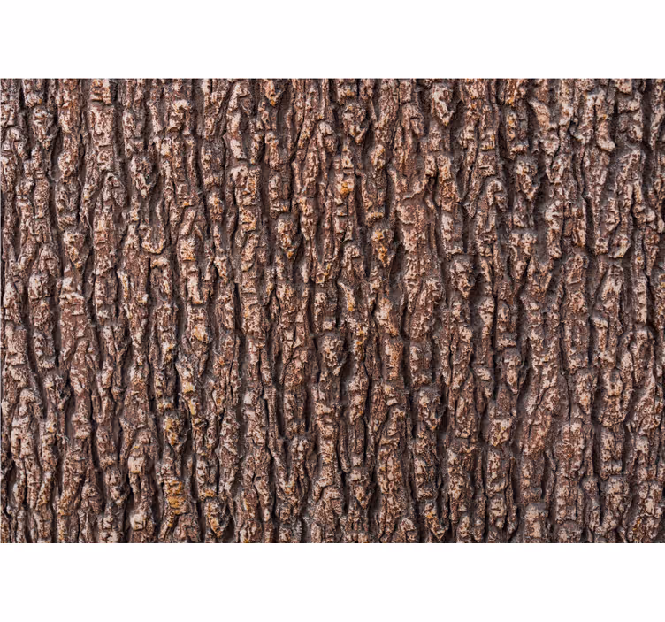 Fotobehang stenen met gestructureerde schorsoppervlak - TenStickers