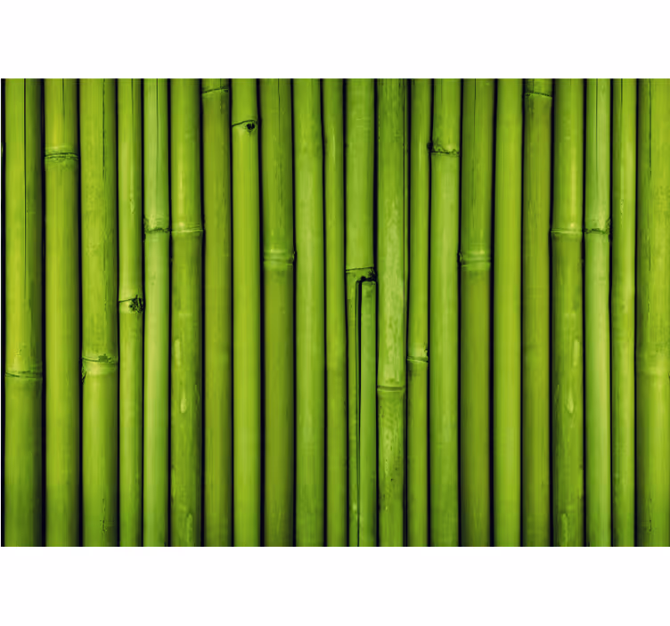 Bamboe fotobehang groene bamboestengels - TenStickers