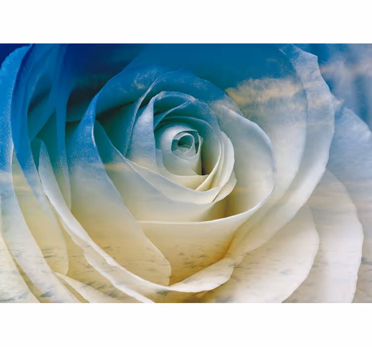 Fotobehang bloemen rozenbloesem elegantie - TenStickers
