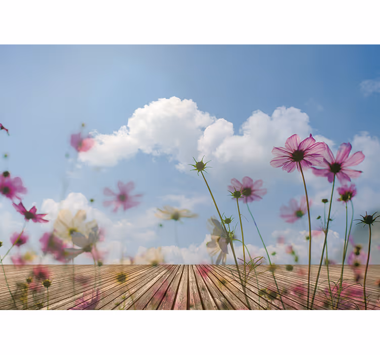 Delicate bloemenbloesems fotobehang bloemen - TenStickers