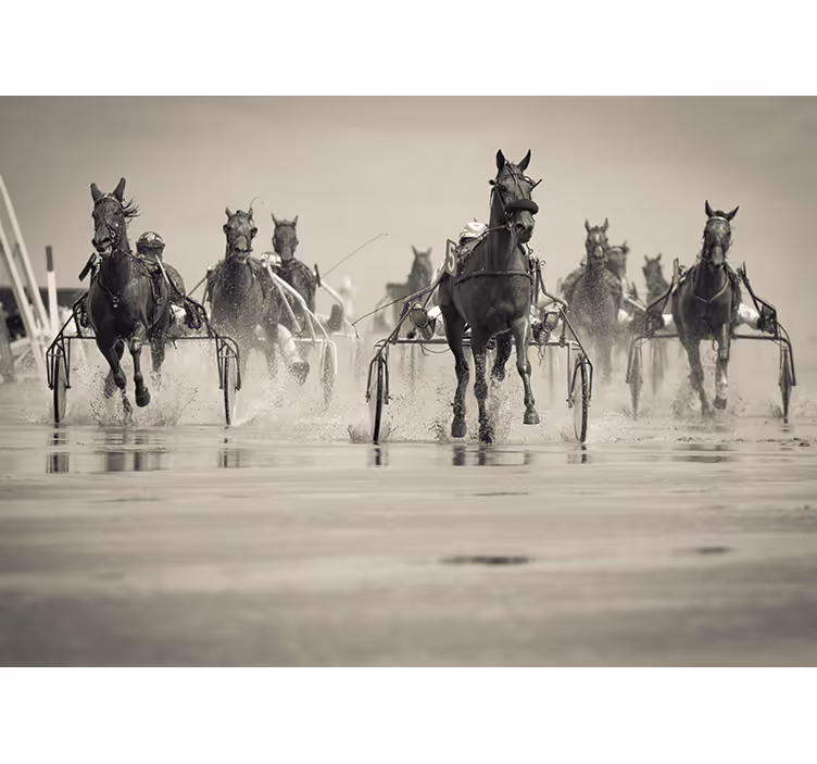 Paarden die samen racen fotobehang dieren - TenStickers