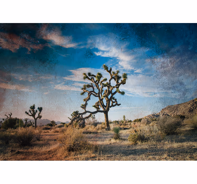 Joshua tree landschap foto behang natuur - TenStickers