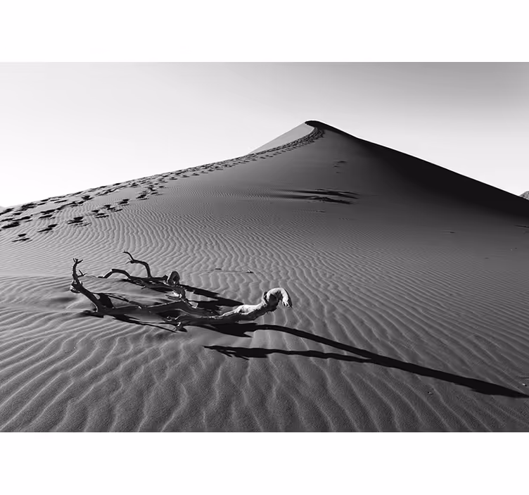 Voetafdrukken in het zand fotobehang woestijn - TenStickers