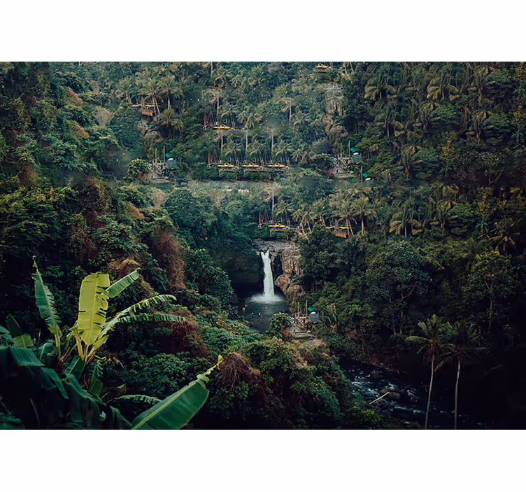Foto behang natuur waterval in weelderige jungle - TenStickers