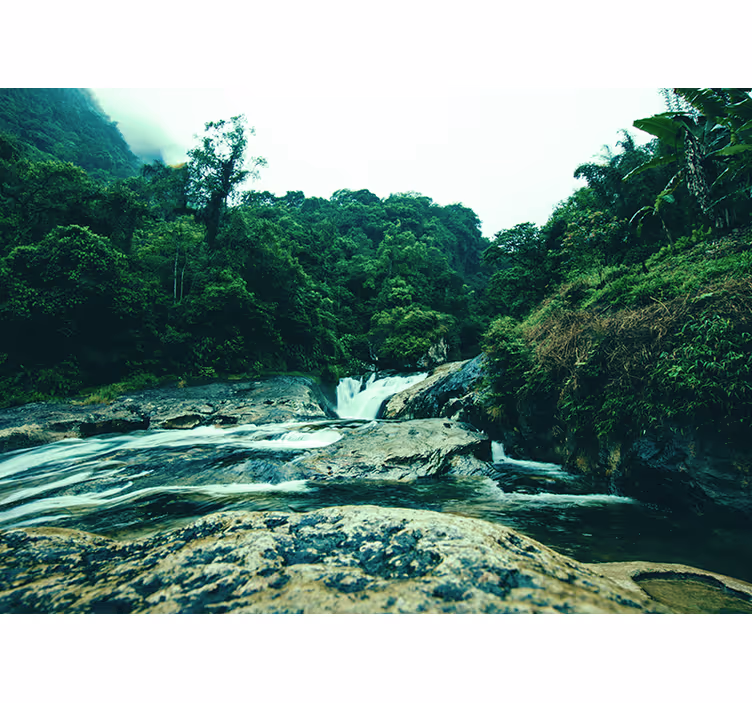 Serene groene scène foto behang waterval - TenStickers