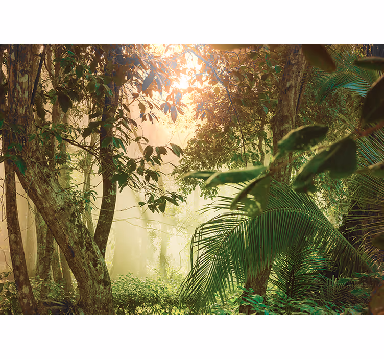 Foto behang natuur zonnig boszicht - TenStickers