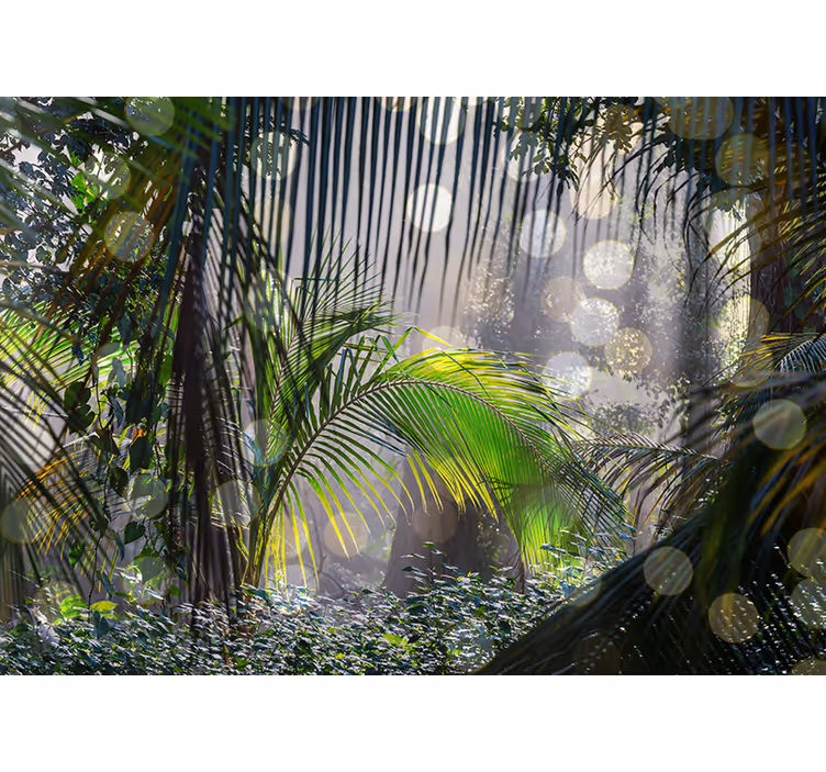Weelderig groen tafereel foto behang jungle - TenStickers