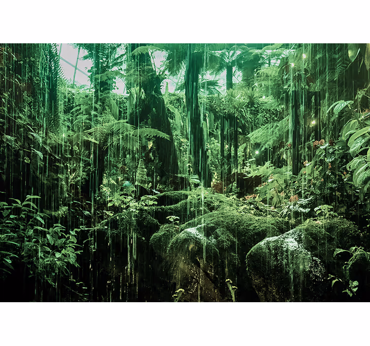 Foto behang jungle weelderig tropisch bladerdak - TenStickers