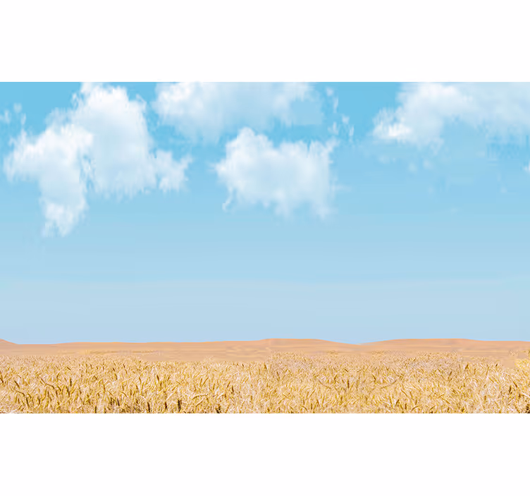 Lucht en tarwe fotobehang landschap - TenStickers